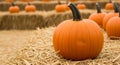 Close-up of an Orange Pumpkin on a Hay Bale at a Pumpkin Patch fall autumn Royalty Free Stock Photo