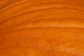 Smooth texture of orange pumpkin skin close up background Royalty Free Stock Photo