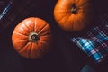 Close up orange pumpkins on plaid background. Fall symbol wallpaper, autumn cosiness. Thanksgiving Day concept. Still