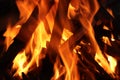 Close-up of the orange and yellow flames of a campfire