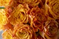 Close up orange yellow rose flowers bouquet in glass vase, grey background, day light. Royalty Free Stock Photo