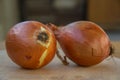 Close-up of two brown onions on wooden table, kitchen, healthy food, vegetarian Royalty Free Stock Photo