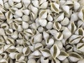 Close-up of Organic Dried Pasta, Creamy White &Shell-shaped, at Farmer`s Market