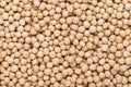 Close up of Organic dry peas whole Pisum sativum or matar dal Full-Frame Background.