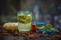 Close up of organic face pack of cucumber with aloe vera gel and rose oil on wooden surface in a glass container for Sunburns and Royalty Free Stock Photo