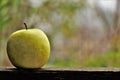 Close up of an organic fresh apple.