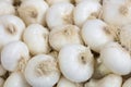 Close up of organic fresh white onions in a box at outdoor farmers market. Vegan food and healthy nutrition concept Royalty Free Stock Photo