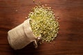 Close-up of Organic green Gram Vigna radiata or spilt green moong dal unpolished spilled out from a laying jute bag over wooden Royalty Free Stock Photo