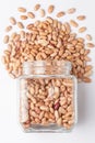 Close up of Organic Lobia, Lobia or kidney beans dal spilled and in a glass jar.