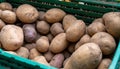 Close up of organic potatoes on market stand Royalty Free Stock Photo