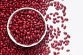 Close up of Organic Rajma,  Laal Lobia  on a ceramic white bowl with the gradient background of red kidney beans dal. Royalty Free Stock Photo