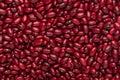 Close up of Organic Rajma,  Laal Lobia  or red kidney beans dal Full-Frame Background. Royalty Free Stock Photo