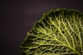 Close up of organic savoy cabbage on the wooden background Royalty Free Stock Photo