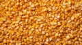 Close-up of organic yellow corn seed or maize. Generative AI