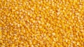 Close-up of organic yellow corn seed or maize. Generative AI