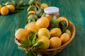 Close up of organically grown apricots and jar of apricot jam. Basket full of apricots on green wooden background Royalty Free Stock Photo