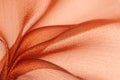 Organza fabric texture