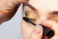 Close-up of an oriental-style eye make-up: golden, brown and green pronounced eye shadows, the make-up artist holds a brush in his