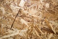 Close up Oriented Strand Board for background textures Royalty Free Stock Photo