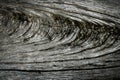 Close up Original gray wood from tree background and texture Royalty Free Stock Photo