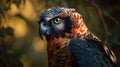 Close up of ornate hawk eagle with nature background