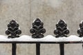 Close up of ornate iron gate