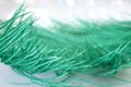 Close up of ostrich feathers for background Royalty Free Stock Photo