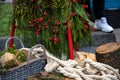 Christmas composition with tree, logs and rope Royalty Free Stock Photo