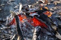 Close up of an outdoor fire burning Royalty Free Stock Photo