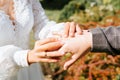 Close-up of an outdoor wedding ceremony, bride puts ring on groom's hand, newlyweds exchange rings. Royalty Free Stock Photo