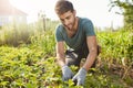 Close up outdoors portrait of mature attractive bearded male farmer in blue t-shirt smiling, working on farm, plans