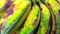 Close up of over-riped bananas Royalty Free Stock Photo
