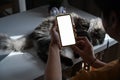 Man using smart phone and his cat sleeping on table. Royalty Free Stock Photo