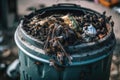 close-up of overflowing garbage can, with flies and in the trash