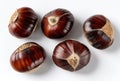 Five Shiny Brown Chestnuts Arranged On A White Background With Natural Lighting Royalty Free Stock Photo