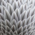Close-up of overlapping bird feathers, displaying Royalty Free Stock Photo
