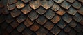 Close-up of overlapping scales, textured with weathered copper tones