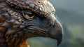 close-up of an owl\'s eye and feathers Royalty Free Stock Photo