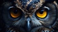 A close up of an owl with yellow eyes and a black background, AI Royalty Free Stock Photo