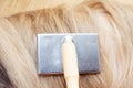 Close up of owner combing long hair of dog at home