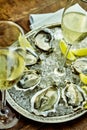 Close up on oysters with drinks in platter Royalty Free Stock Photo