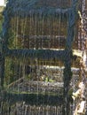 Close up of a paddle wheel in operation on the Sorgue river at Fontaine de Vaucluse in Provence