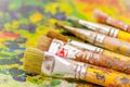 Close up of paint brushes over a color palette in a blurred background