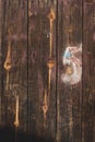 Close up of painted wall made of wooden planks. Royalty Free Stock Photo