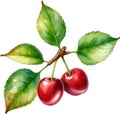 Close-up painting of cherry berry (Prunus avium). AI-Generated.