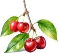 Close-up painting of cherry berry (Prunus avium). AI-Generated.