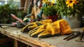 A close-up of a pair of gardening gloves and tools Royalty Free Stock Photo