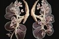 close-up of a pair of lungs made from delicate orchids