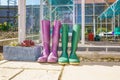 Pair of purple and green Wellington Boots Royalty Free Stock Photo