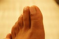 Close up a pair of strength feet isolated on white background. Female legs on a white background. Close up Bare Feet of a Woman.